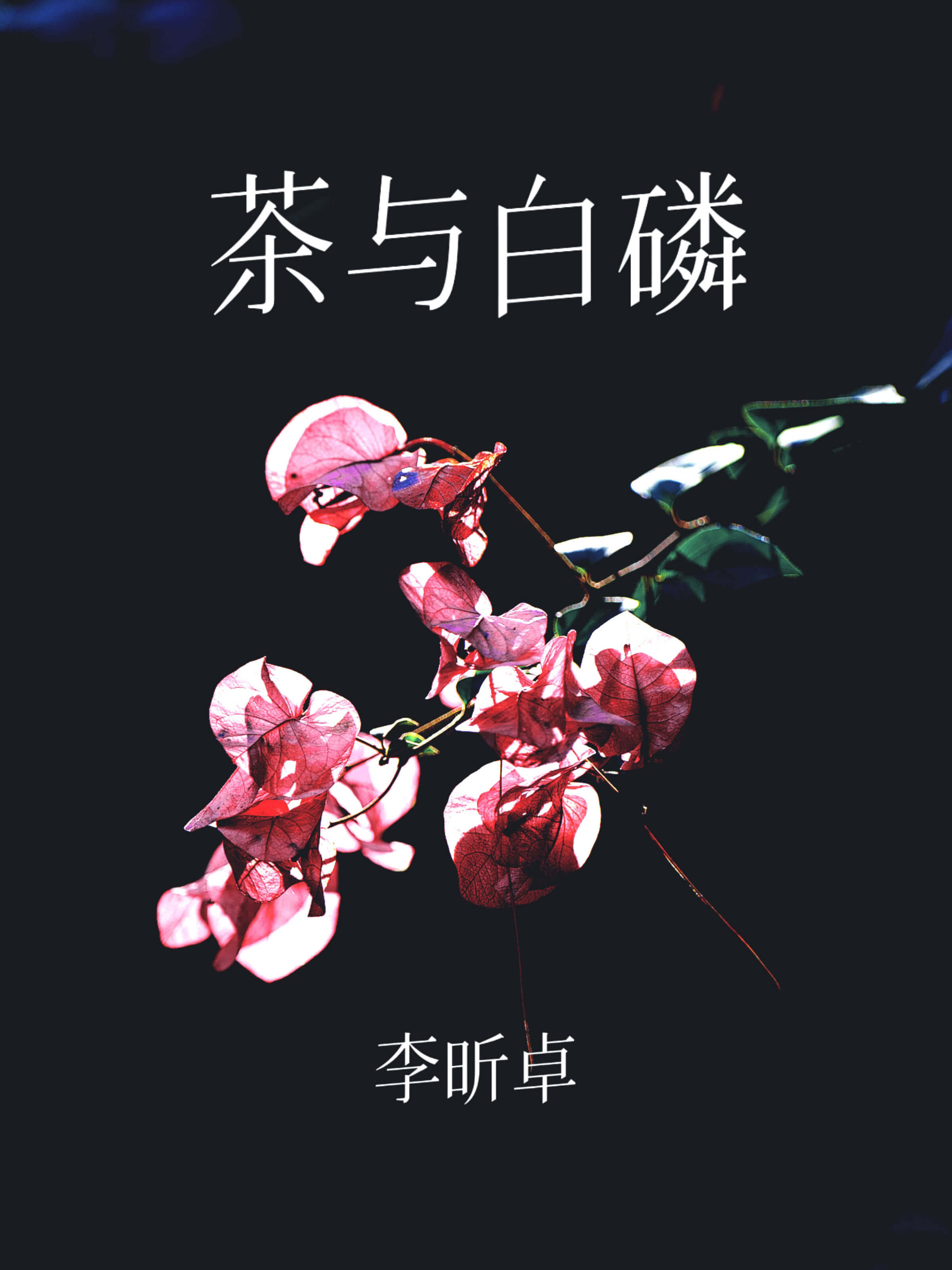 【资源】《茶与白磷》作者：李昕卓【完结+番外】