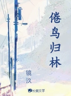 【资源】《倦鸟归林》作者：镜汣【CP完结】