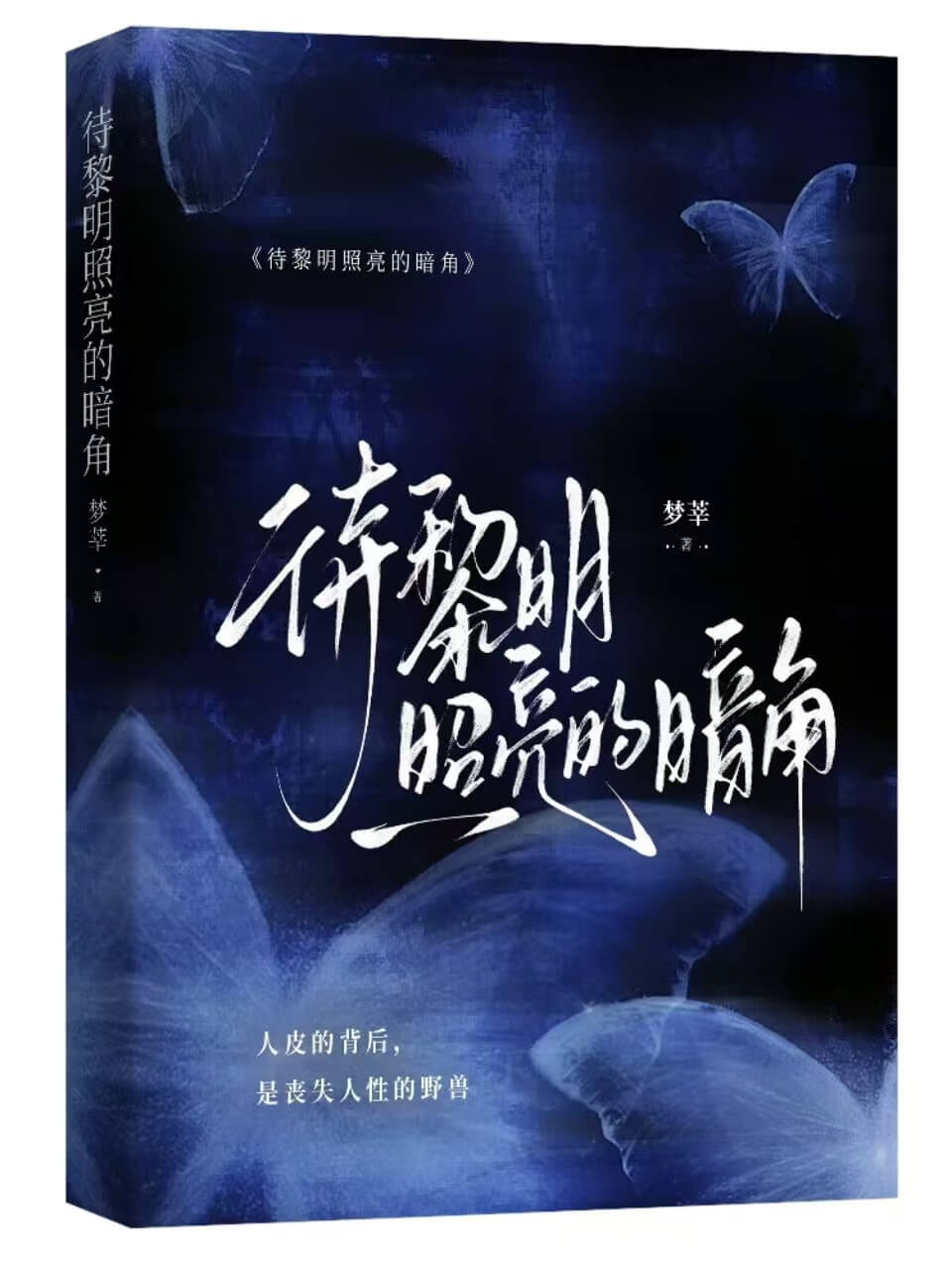 【资源】《待黎明照亮的暗角》作者：梦莘【完结】
