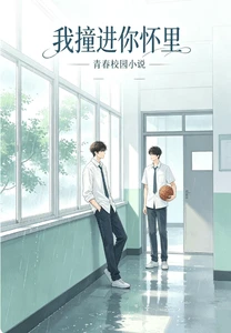【资源】《我撞进你怀里》作者:是淡淡呀【完结】