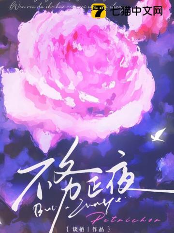 【资源】《不务正夜》作者：谈栖【完结+番外】