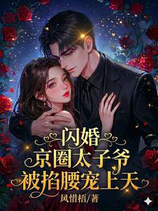 【资源】《闪婚京圈太子爷,被掐腰宠上天!》作者:风惜梧【完结】